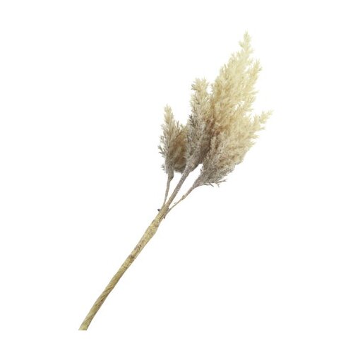 Dekordom Cvet astilbe 81cm 779824 - brown - dcs ( 040142 ) Cene