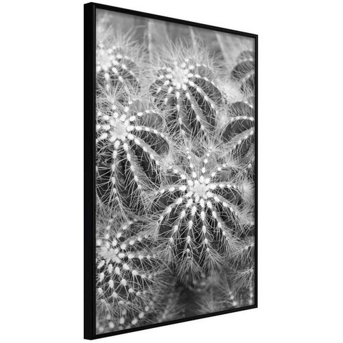  Poster - Do Not Touch 40x60 Slike