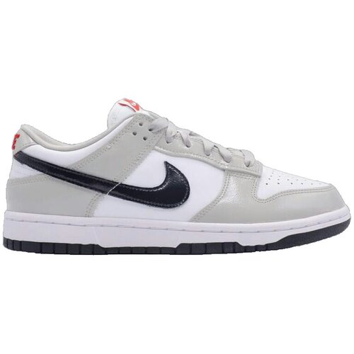 Nike Modne superge Dunk Light Iron Ore Črna Cene