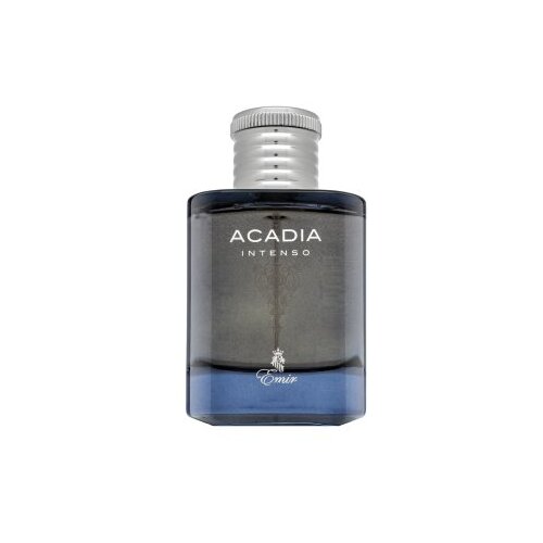 Emir Acadia Intenso parfumirana voda za moške 100 ml Cene