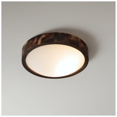 Brilagi plafonsko svetlo carvalho slim smokey 1xE27/60W/230V hrast preč. 27,5 cm Cene