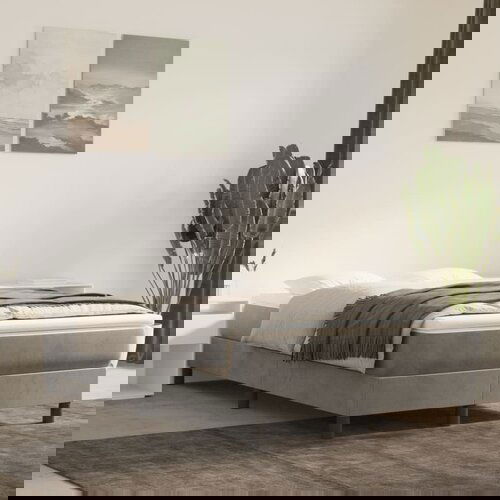The Living Store Box spring postelja z vzmetnico svetlo siva 120x200 cm žamet - Box Spring Postelja, (21491383) Slike