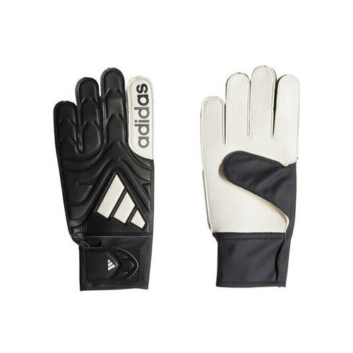 Adidas Rokavice Copa Club Večbarvna Cene