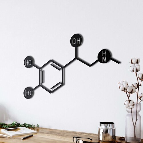 Wallxpert metalni zidni ukras 5003, strukturna formula molekula adrenalina, 60 x 35 cm, crni Cene