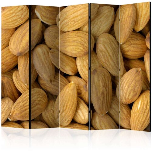  Paravan u 5 dijelova - Tasty almonds II [Room Dividers] 225x172 Slike