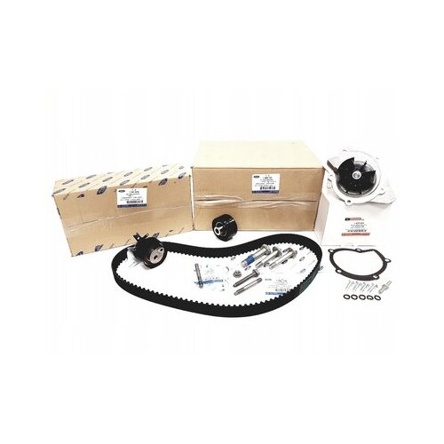 Ford Veliki servis jermeni+črpalka 2008686 ORIGINAL Slike