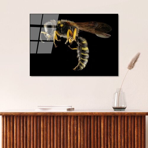 Wallity slika UV-292, 50 x 70 cm Cene
