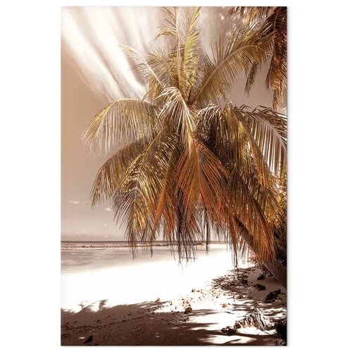  Slika - Palm Shadow (1 Part) Vertical 40x60 Premium Print Slike