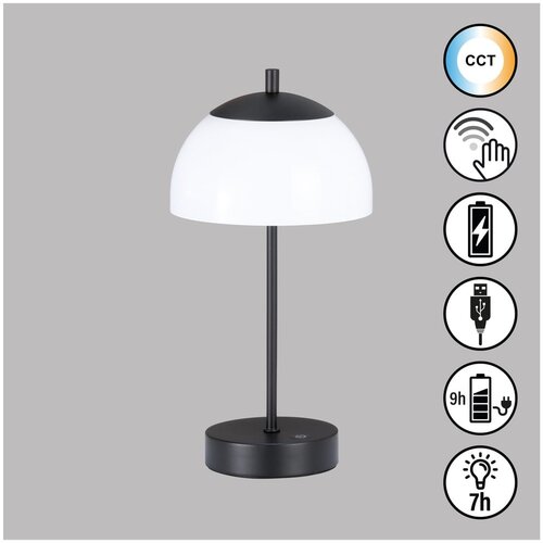 Fischer &amp;amp; Honsel LED namizna svetilka (vi&amp;scaron;ina 35 cm) Riva &amp;ndash; Slike