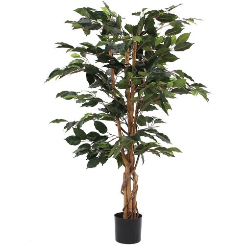 MICA FIKUS ZELEN V PLASTIČNEM LONEC - H110XD65CM Cene