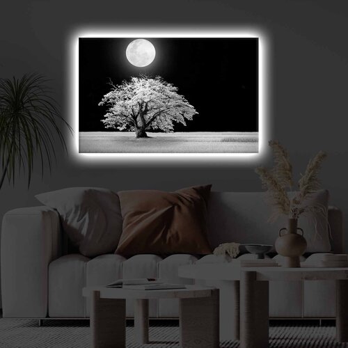 Wallity 4570KTLGDACT - 022 multicolor decorative led lighted canvas painting Cene