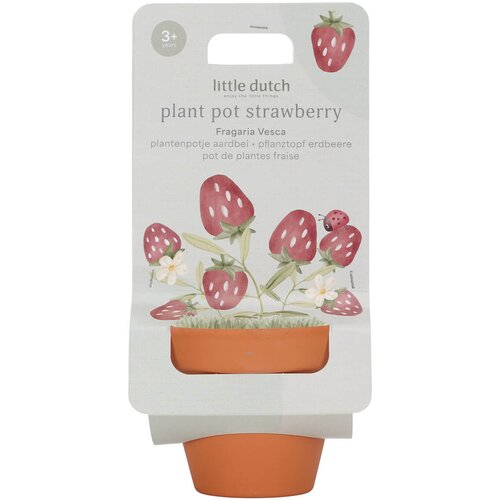Little Dutch® teglica za biljke strawberry Cijene