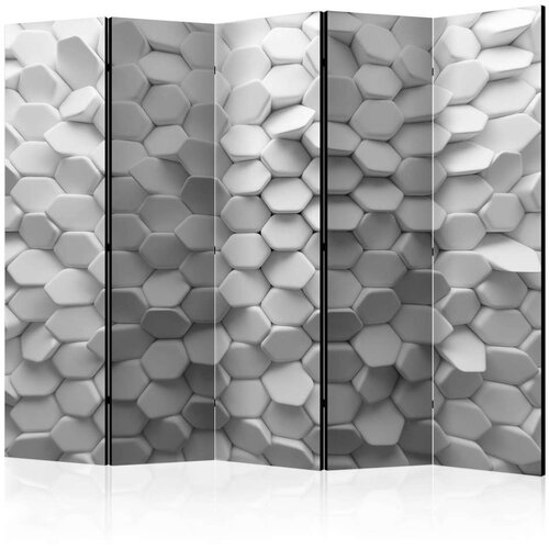  Paravan u 5 dijelova - White Mystery II [Room Dividers] 225x172 Slike