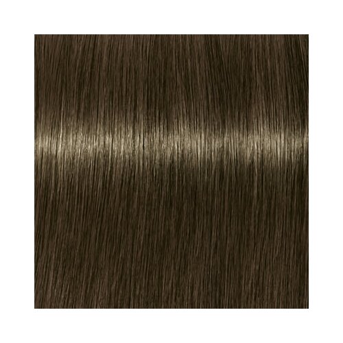 Schwarzkopf IGORA Royal boja za kosu nijansa 6-31 Light Brown 60 ml Cijene