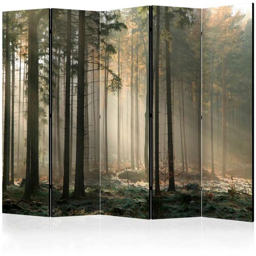  Paravan u 5 dijelova - Foggy November morning II [Room Dividers] 225x172 Slike
