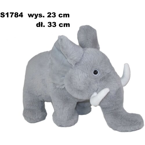  Slon 172877 Cene