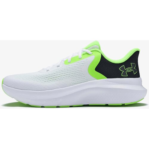 Under Armour Patike Charged Rogue 5 Cene