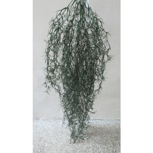 Lilium veštačka lozica asparagus 80cm 131961 Slike