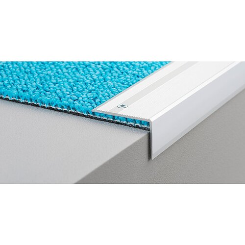 LOGOCLIC završni profil za stepenice (srebrne boje, 2,5 m x 40 mm x 25 mm, vrsta montaže: vijci) Cijene
