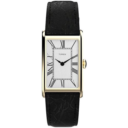Timex Analogne ure ty576650 pisana Cene
