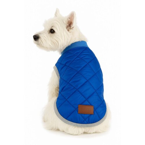 Paws & Whiskers Odelo za pse Royalbluejacket, Plavo Cene