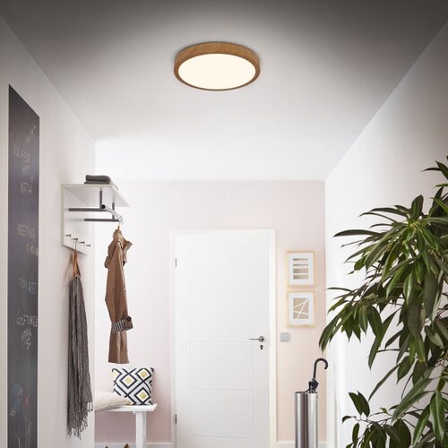 BRILO LED plafonsko svetlo RUNA LED/24W/230V Slike