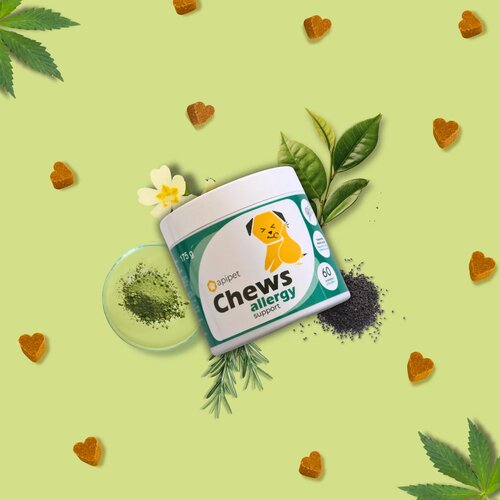 Apipet Chews Allergy Support 175 g Slike