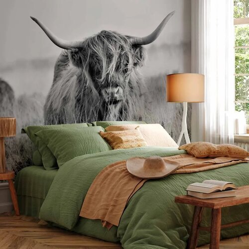  Foto tapeta - Highland Cattle 147x105 Samoljepljiva Cene