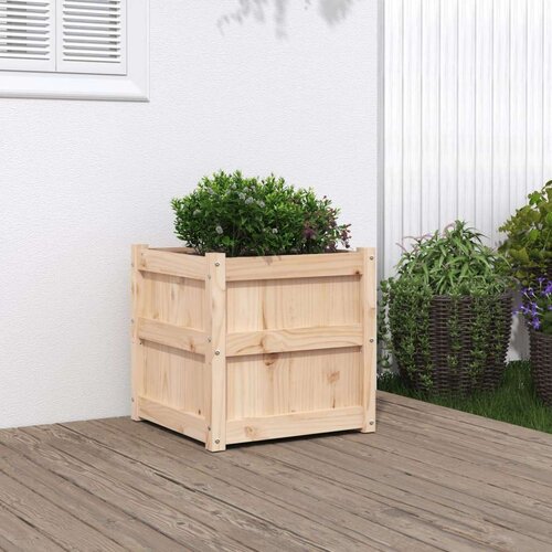 VidaXL Vrtna sadilica 50 x 50 x 50 cm od masivne borovine Slike