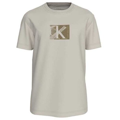 Calvin Klein siva muška majica CKJ30J327077-PDH Slike