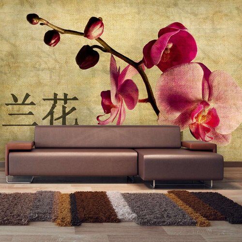  Tapeta - Japanese orchid 450x270 Cijene