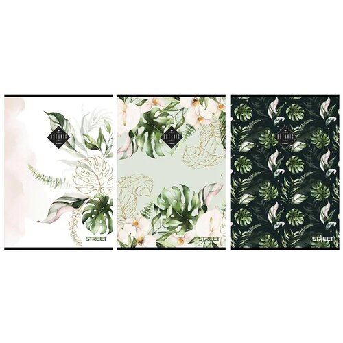  Zvezek Street Botanic A4, brez črt Cene