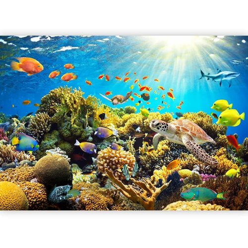  Foto tapeta - Underwater Land 250x175 Slike