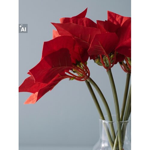 Sinsay DECORATIVE PLANT Slike