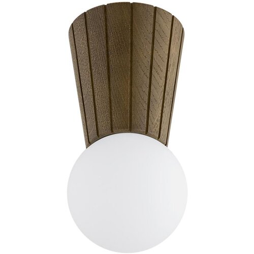  Argon 8974 - Stropno svetlo za kupatilo VOLANTE 1xG9/6W/230V IP44 prečnik 12 cm braon Cene