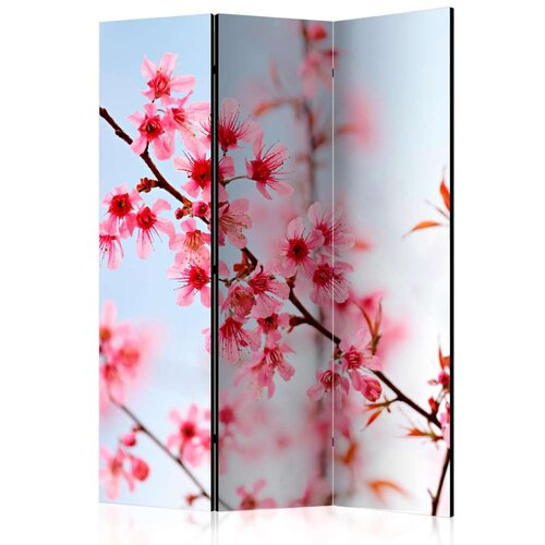  Paravan u 3 dijela - Symbol of Japan - sakura flowers [Room Dividers] 135x172 Cijene