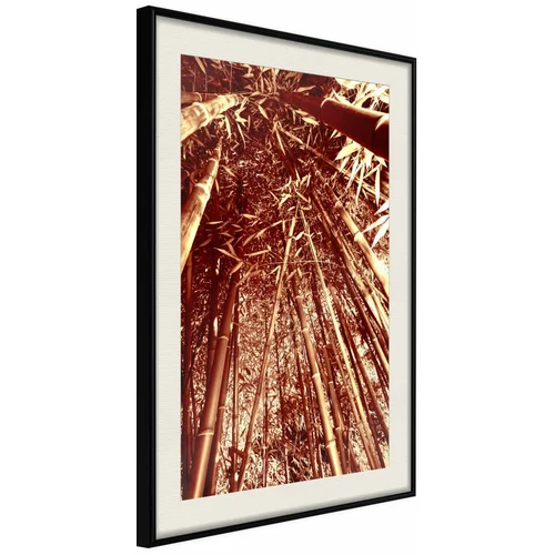  Poster - Asian Forest 20x30