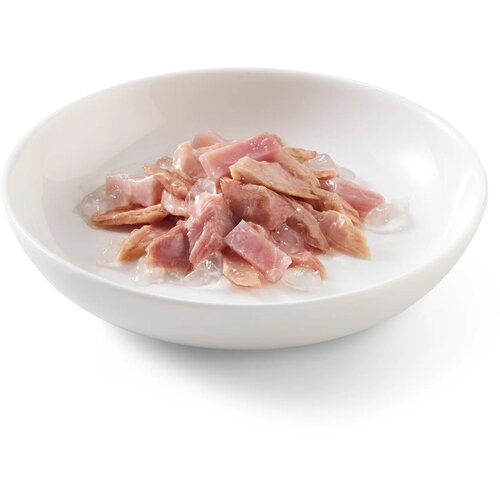 Schesir cat tunjevina i &amp;scaron;unka u želeu, 85gr Slike