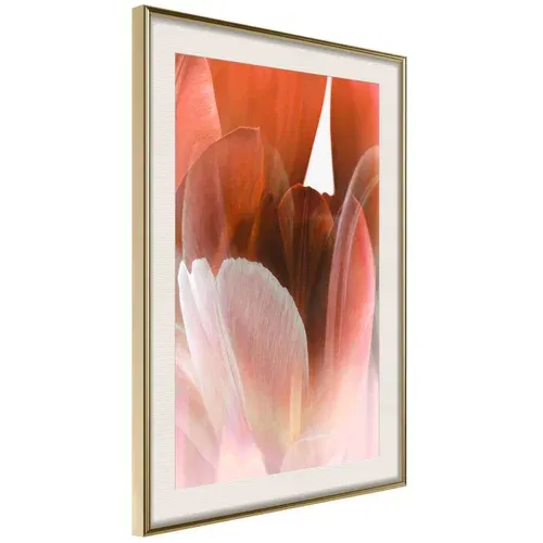  Poster - Tulip Petals 20x30