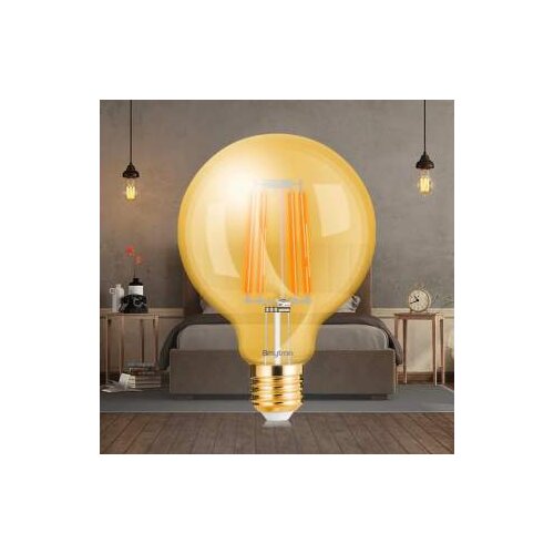 Braytron LED SIJALICA 6W E27 G125 AMB 2200K BB48-00620 Slike