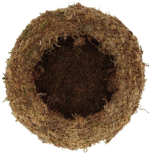 Esschert Design Kokedama krogla - L Slike