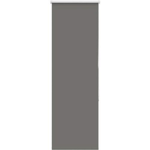 vidaXL Rolo zatemnjena siv 60x175 cm tkanina širina 55,7 cm poliester Cene