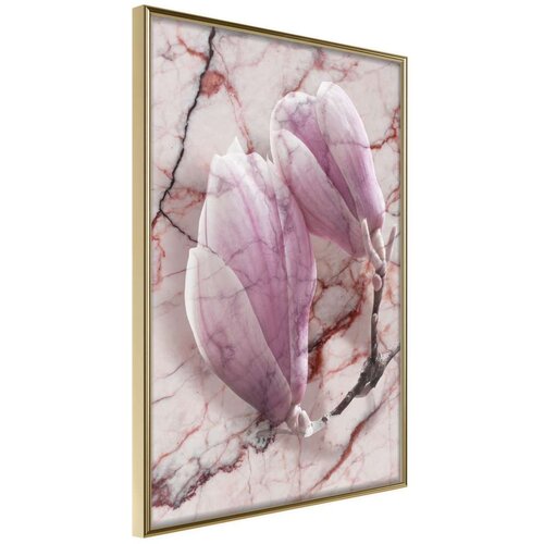  Poster - Magnolia on Marble Background 30x45 Cene