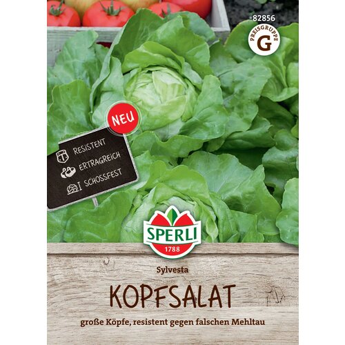  Glavnata solata &amp;quot;Sylvesta&amp;quot; - 1 pkt. Slike