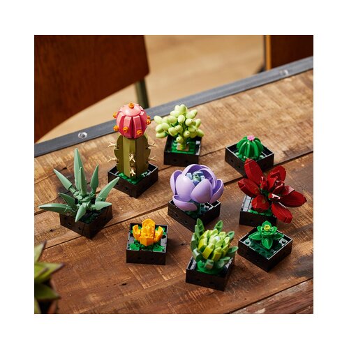 Lego 10309 sukulenti Slike
