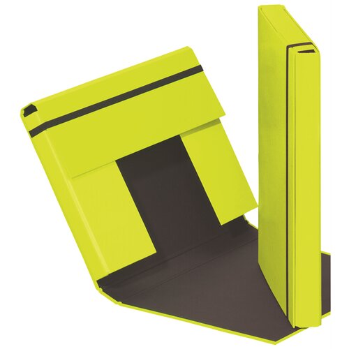 Pagna &Scaron;katla za zvezke Trend Colors, DIN A4, limeta zelena, (22135691) Cene