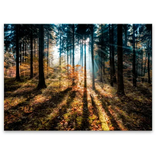 Styler Slika Glasspik Autumn Sunset, 70 x 100 cm