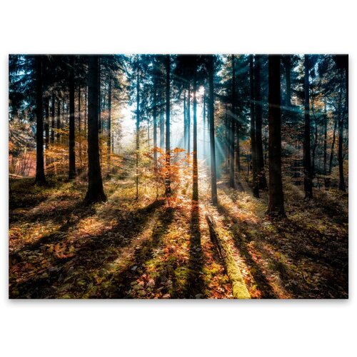 Styler Slika Glasspik Autumn Sunset, 70 x 100 cm Slike