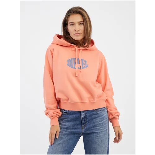 Diesel Sweatshirt - F-REGGY-HOOD-E2 SWEAT-SHIRT orange