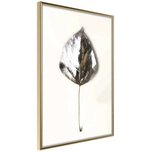  Poster - Silvery Leaf 30x45